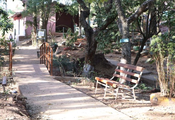 Tierra Adentro: Villa de San Francisco, cuna de tradiciones y reverencia a la naturaleza