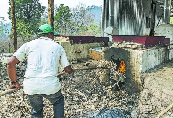 Panelas para endulzar la vida y cuidar el ambiente