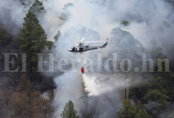 Presidente Hernández: 'Hay que dar con el culpable del incendio y llevarlo a la justicia” &nbsp;&nbsp;
