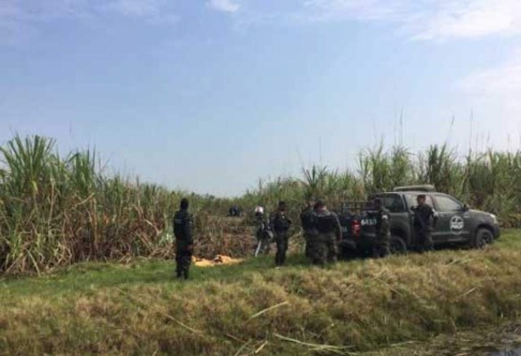 Hallan supuesta narcoavioneta incinerada en aldea Los Caraos, Cortés