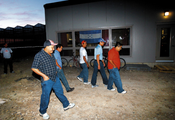 Parlamento canadiense endurece leyes migratorias