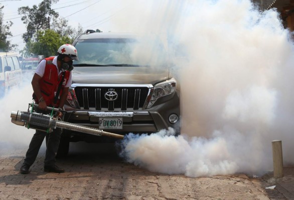 Más de 200 mil casas de la capital han sido intervenidas por el dengue