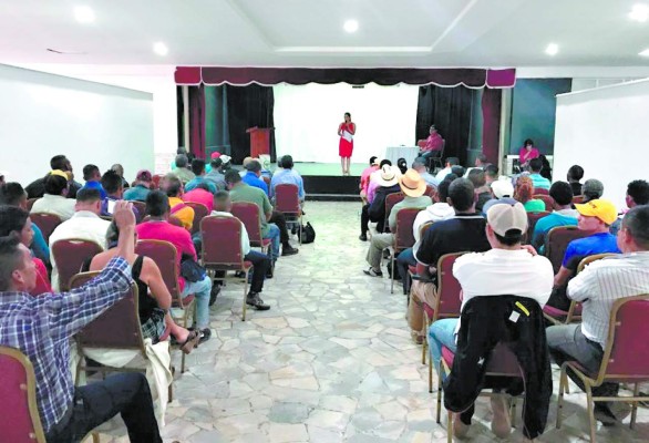 Honduras: Piden apoyar estrategia para el frijol