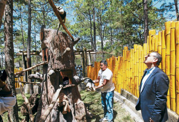 Zoológico Rosy Walter depende del titular de Serna