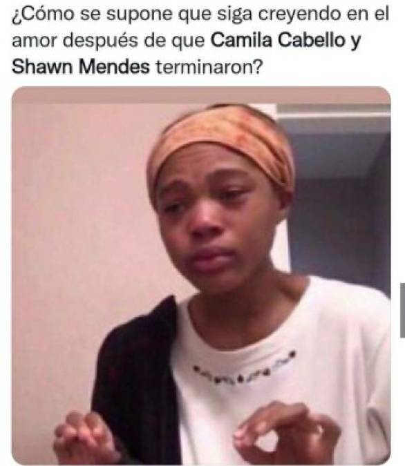 ¿Con quién se queda el perro? Los memes que dejó la separación de Camila Cabello y Shawn Mendes