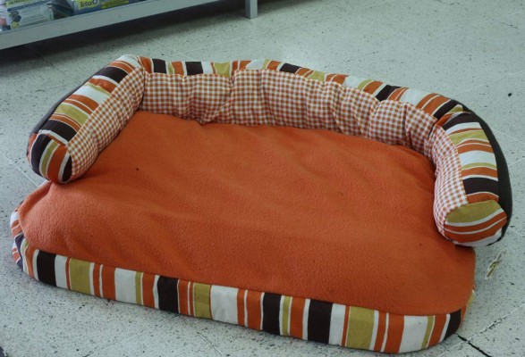 Su gato y perro no están exentos de alergias