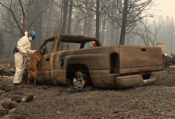 Desgarradoras imágenes de lo que quedó de Paradise, el pueblo en California que fue consumido por los incendios