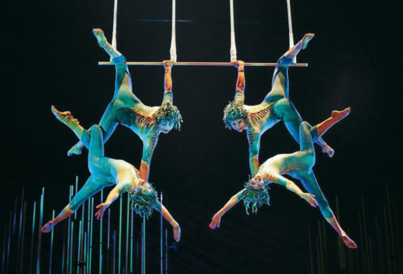 Circos famosos que se niegan a utilizar animales en su espectáculo