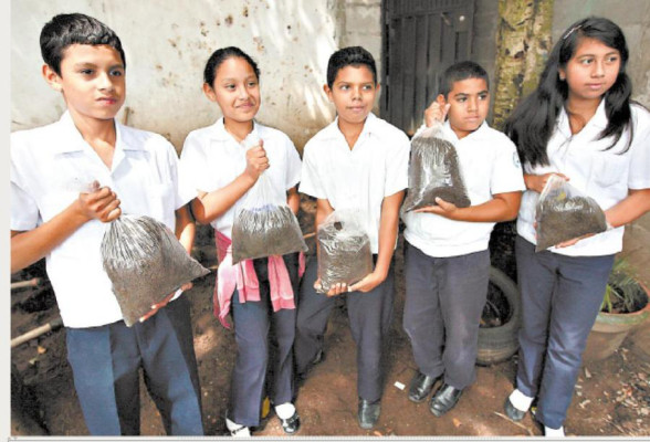 Niños ven en proyecto alternativa de negocio