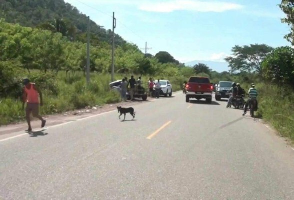 Matan a reconocido ganadero en carretera de Olanchito, Yoro