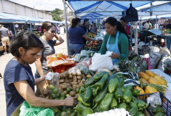 Con las lluvias se espera un aumento del 6% en la producción hortícola
