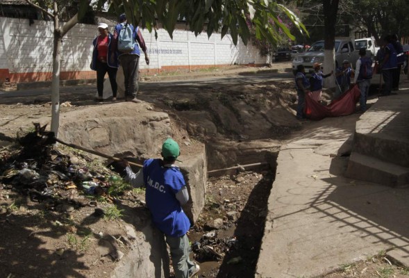 Intervienen zonas críticas de dengue