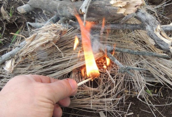 Dictan auto de formal procesamiento contra joven pirómano en Tegucigalpa&nbsp;