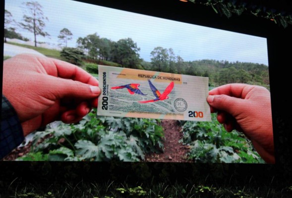 Lo que debes saber sobre el billete de 200 lempiras que entrará en vigencia el 1 de septiembre  