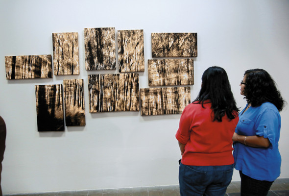 El bosque, protagonista en 'Escapes y refugios”