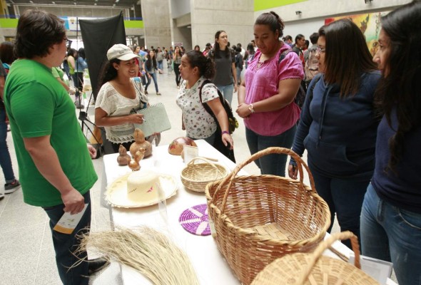 Elaboran productos y artículos a base de diversas especies de plantas útiles