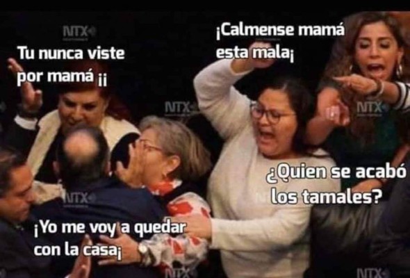 Los divertidos memes que desataron las peleas de terrenos en Navidad&nbsp;&nbsp;