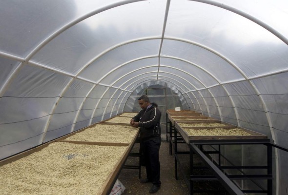 En Asociación Compartir cultivan la solidaridad a través del grano de café