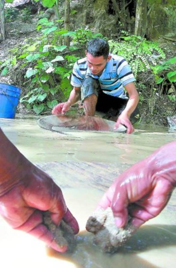 Ahora sobreviven de los residuos del oro