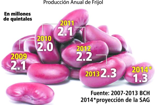 Frijol rojo no baja de precio en mercados de la capital de Honduras