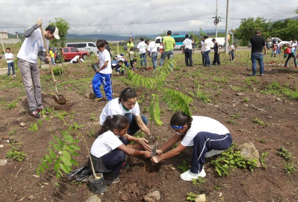 Escuelas amigables dejan su huella con reforestación de área verde
