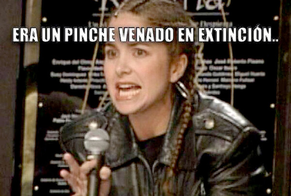 Los memes de Lucero y Cristian Castro