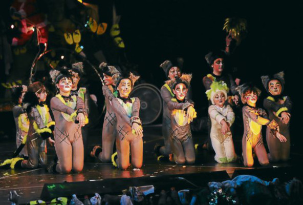 Magia, ritmo y color con Cats en el Teatro Nacional Manuel Bonilla