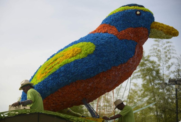 Medellín le rinde tributo a la naturaleza