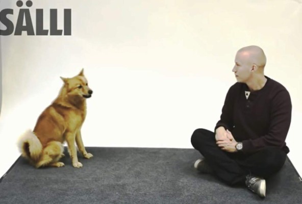 &nbsp; Habla con los perros