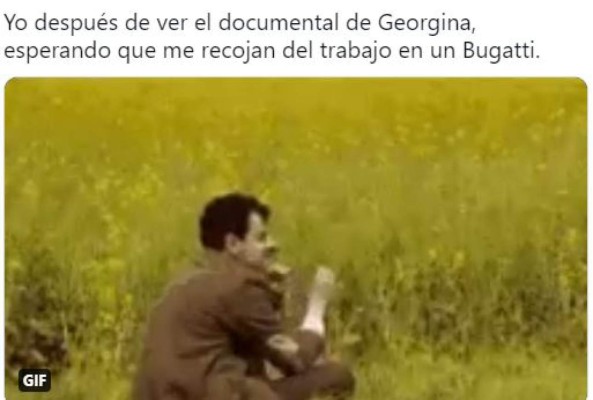 Los divertidos memes que dejó el reality de Netflix: 'Soy Georgina'