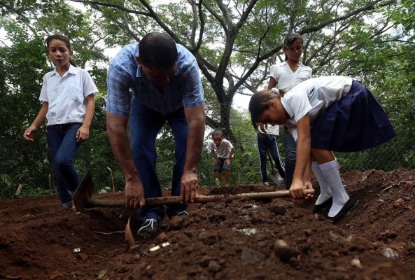 -Las 10- Imágenes del año