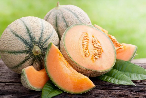 Melón, un producto de exportación y fuente de empleo con sello sureño