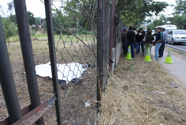 Seis mujeres han sido asesinadas en 24 horas