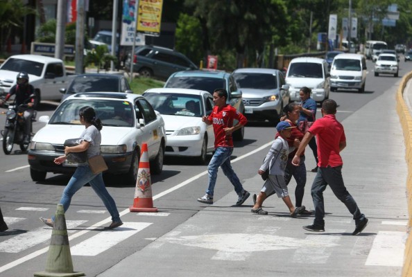 Cuatro atropellamientos por semana se dan en la capital