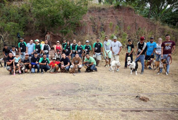 A romper los mitos sobre los pitbull