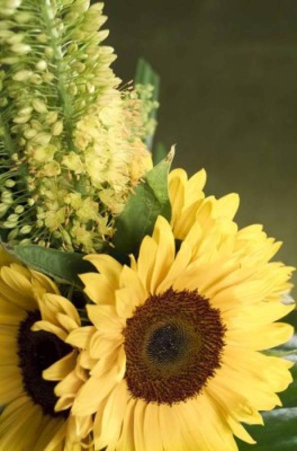 Consigue un hermoso arreglo floral con Claro Club–The Flower Spot