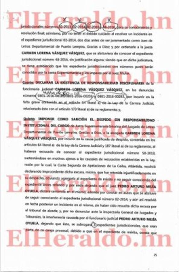 Tanto Mejía Oyuela como Vásquez Vásquez fueron removidos de sus cargos sin derecho a remuneración, por haber incurrido en faltas disciplinarias graves.