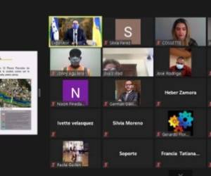 A través de la plataforma Zoom y durante tres horas las autoridades edilicias rindieron cuentas sobre sus actividades.