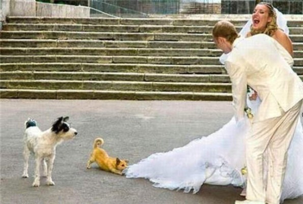 Los peores accidentes de bodas que existen