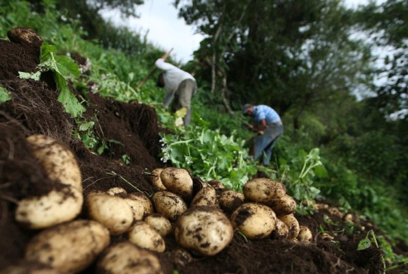 Intibucá celebra su tradición