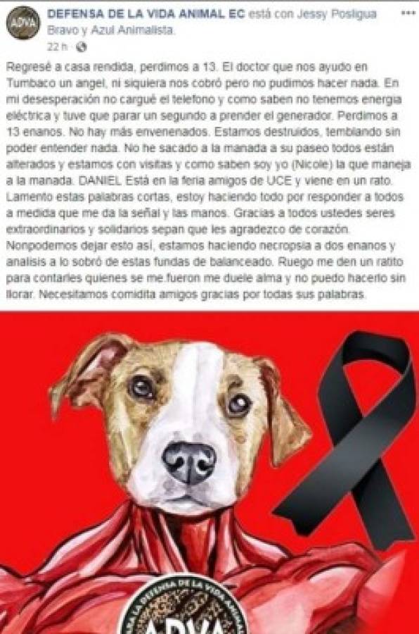 Repudiable: Donan alimento envenenado y matan a más de 20 perros