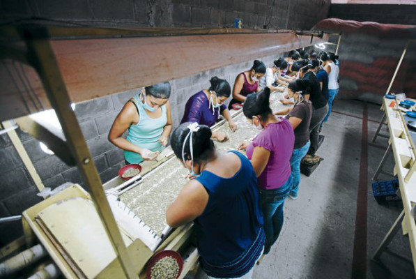 Mágico grano que conquista el paladar de los sanmarqueños