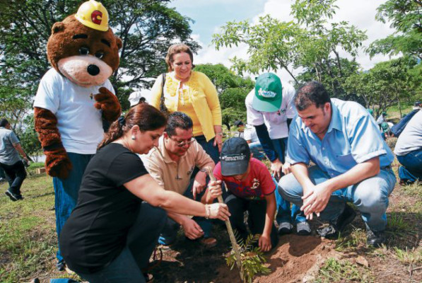 Siembran 3,000 árboles en Guacerique