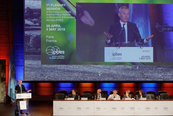 Daño ambiental, una amenaza a la humanidad como el cambio climático