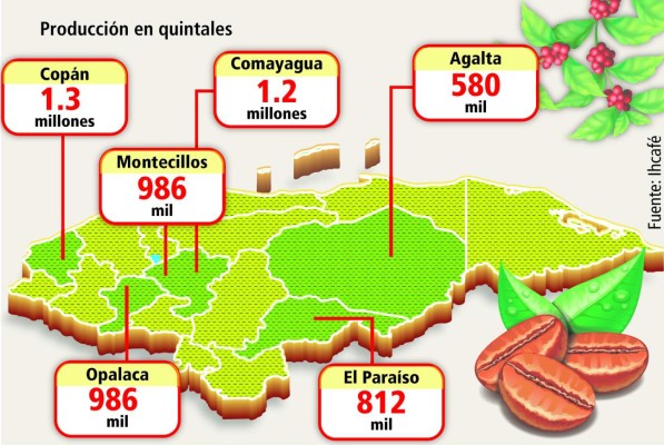 Casi 20% de la población depende del café en Honduras