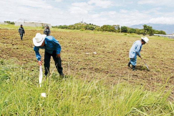 Reactivan producción en granja penal de Comayagua