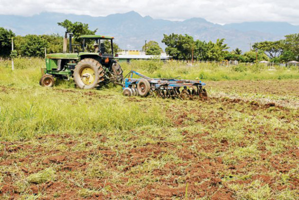 Reactivan producción en granja penal de Comayagua