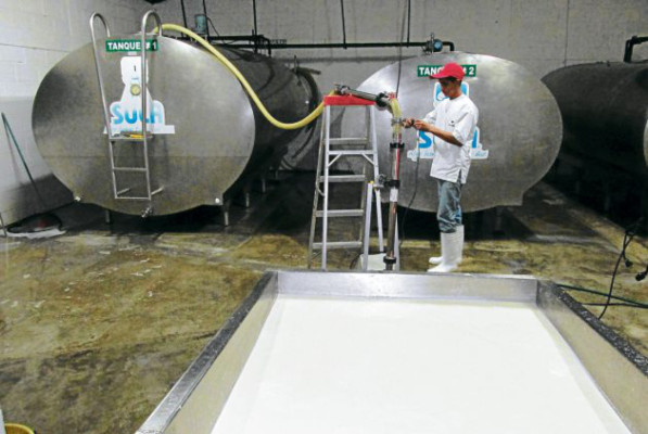 Ganaderos comienzan a tecnificar los centros de producción de leche