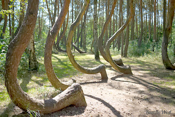 15 impactantes imágenes que desafían la lógica