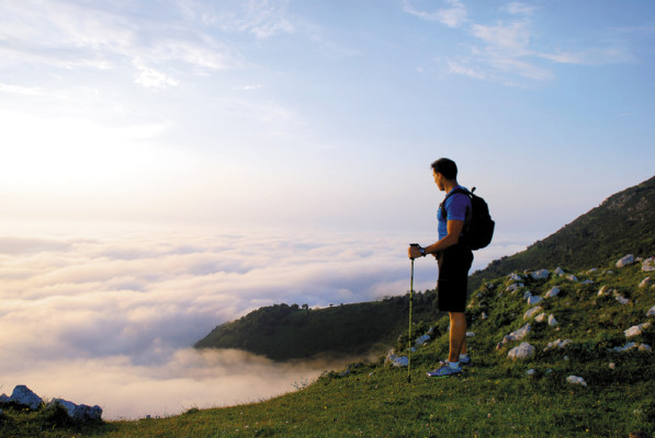 ¡2013 con proactividad!